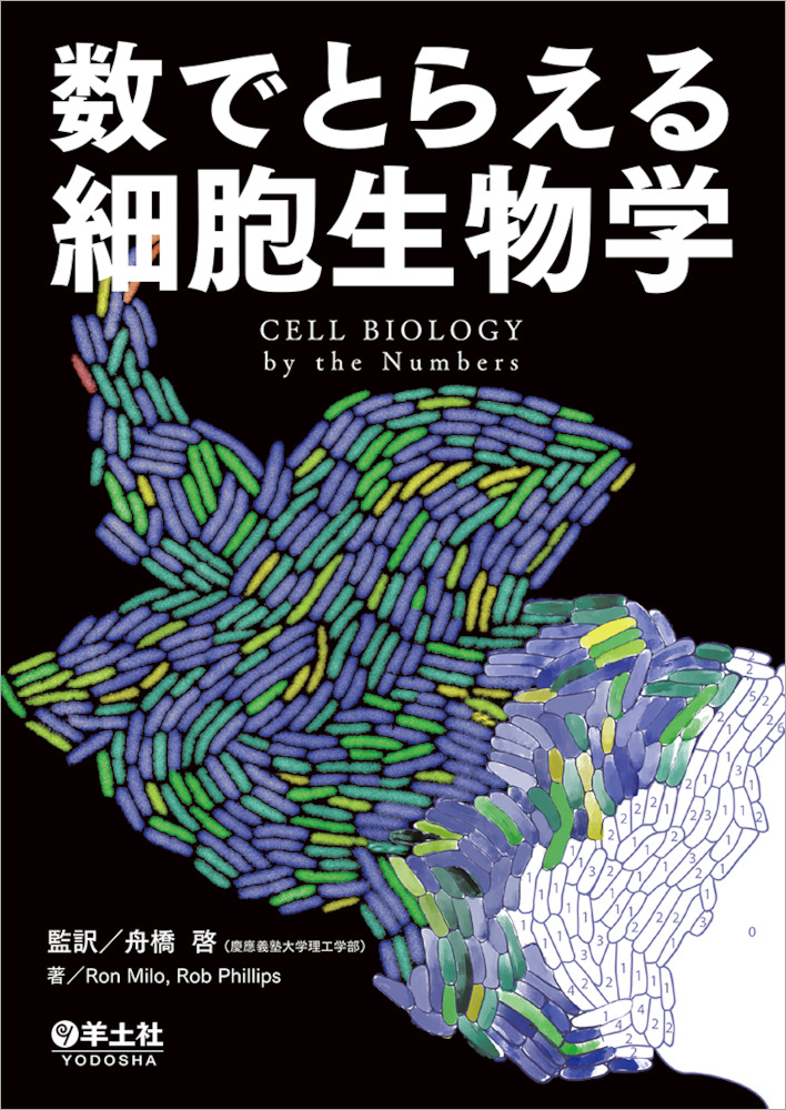 数でとらえる細胞生物学